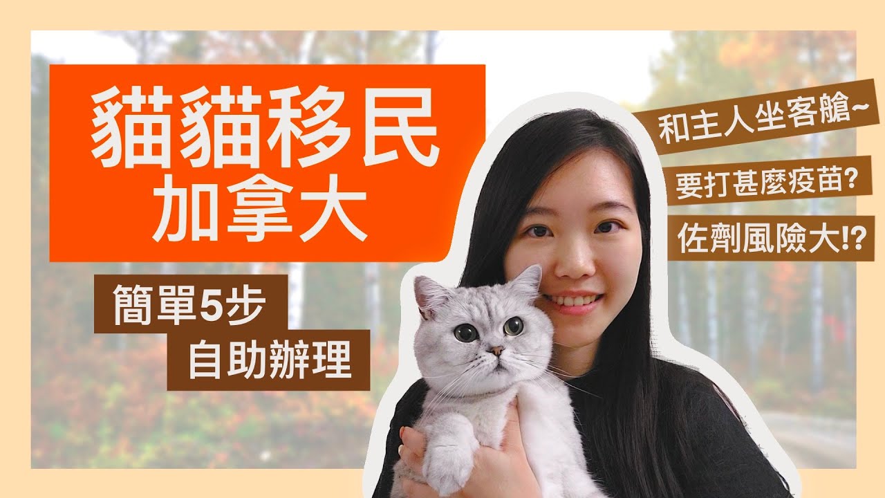 寵物移民加拿大懶人包~簡單5步DIY~極便宜攻略！貓貓如何乘撘飛機？無需寵物移民中介！