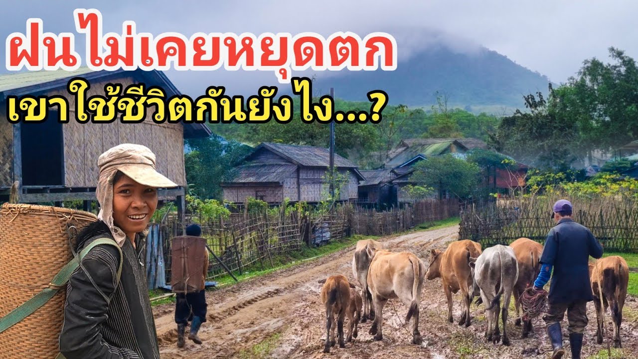 ฝนตกทุกวันอย่างนี้เขาใช้ชีวิตกันยังไง...?