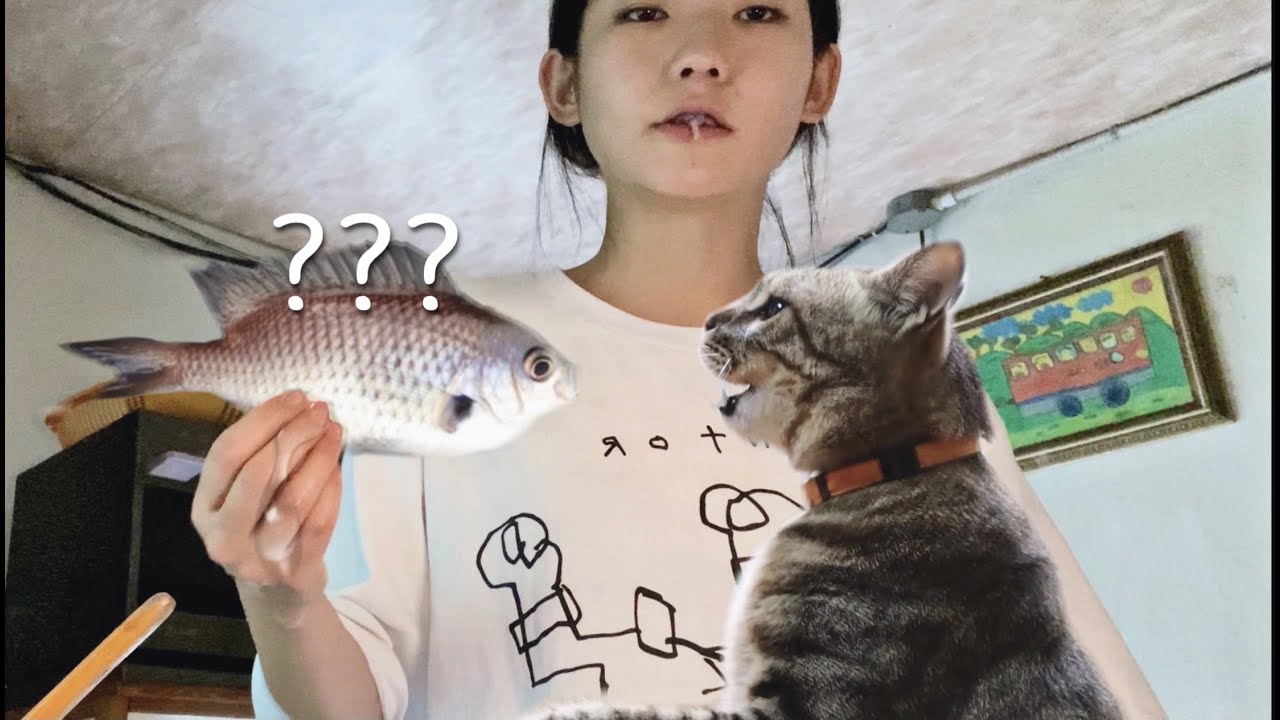 고양이와 산다, 조피 따서 물회 해 먹기