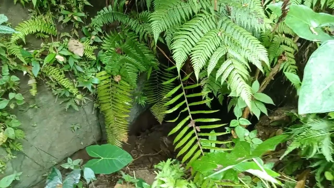 JAPANESE WWII TUNNEL IN DAVAO CITY (KRIS SNIPER)