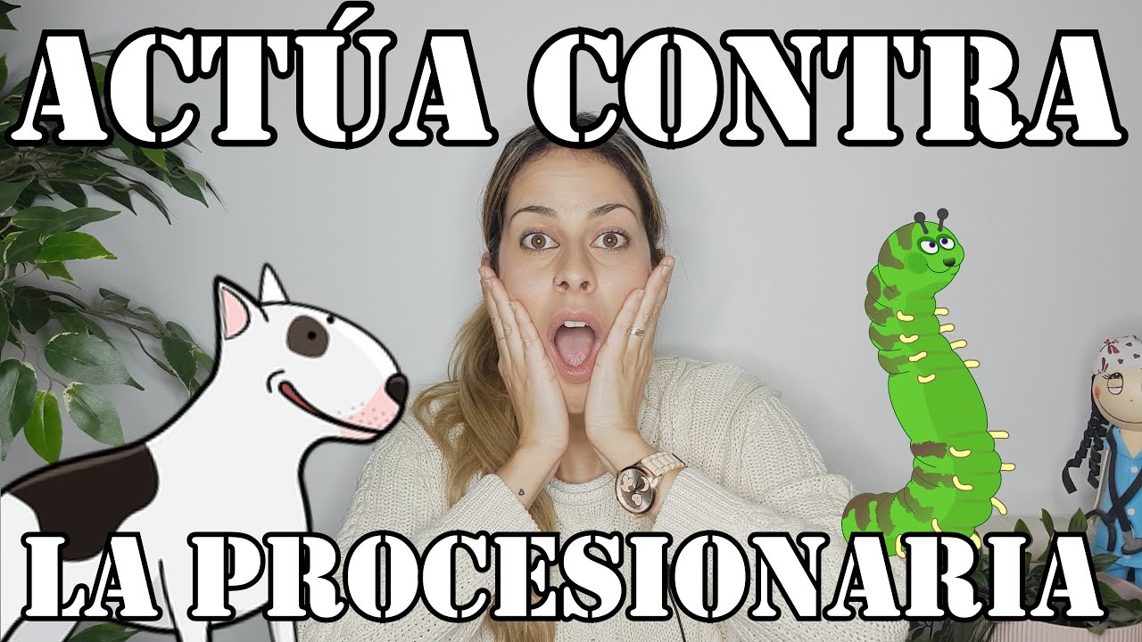 ORUGAS PROCESIONARIAS Y PERROS | COMO SALVAR VIDAS ❤