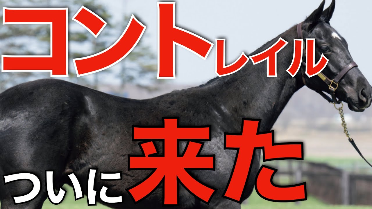 種牡馬コントレイルがついにトップ浮上！いよいよ本領発揮の時が来た。