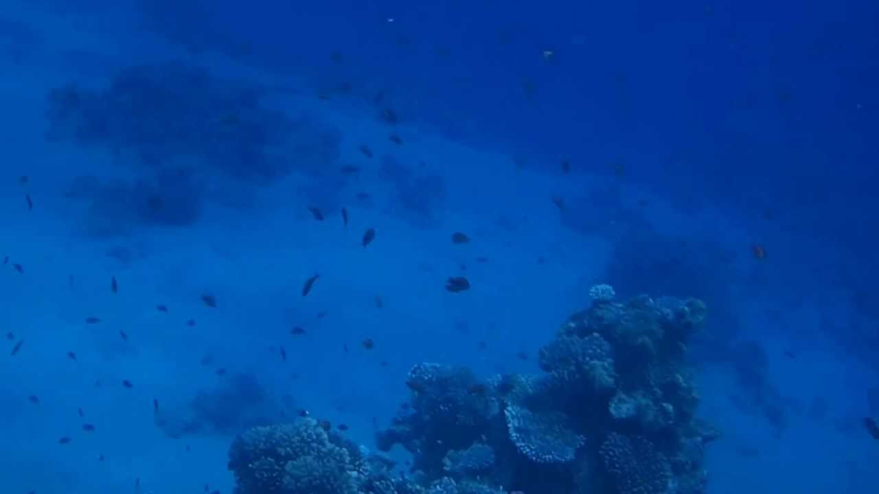 Sharm El Sheikh, White Knight.