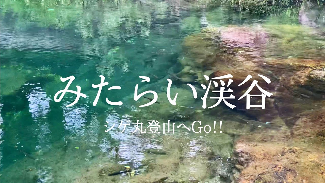 みたらい渓谷　温泉とゆるゆるハイキングで日帰り登山
