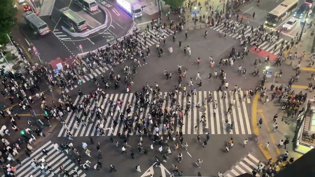 4K View of Shibuya Crossing from Mags Park Rooftop