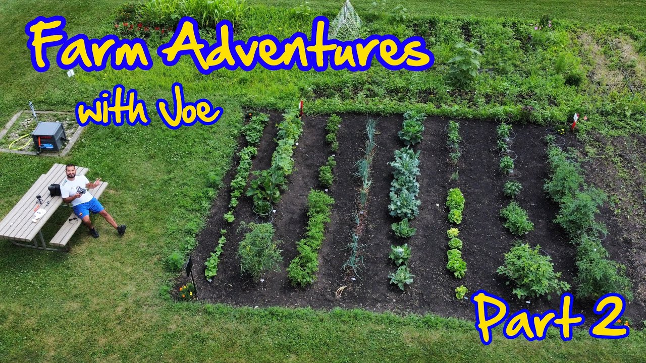 Farm Adventures - Part 2