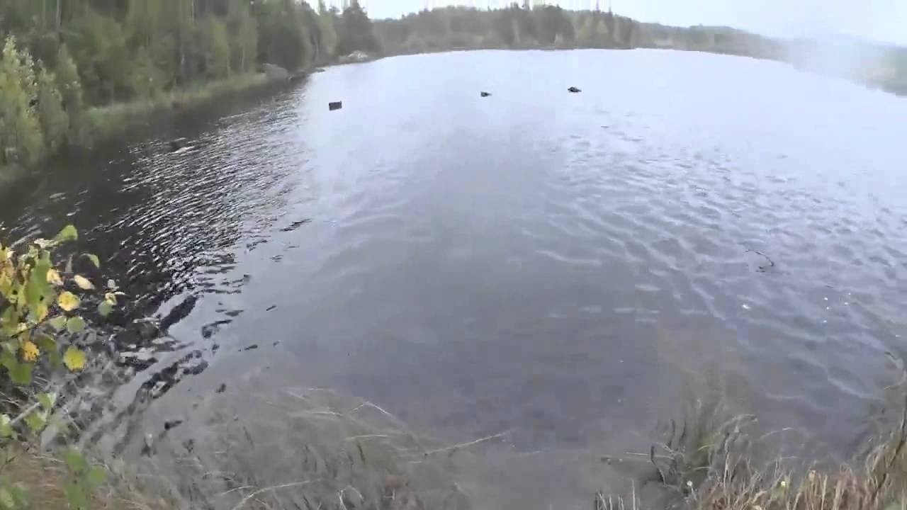 &laquo;&nbsp;P&ecirc;che r&eacute;ussie&nbsp;&raquo; || ViralHog