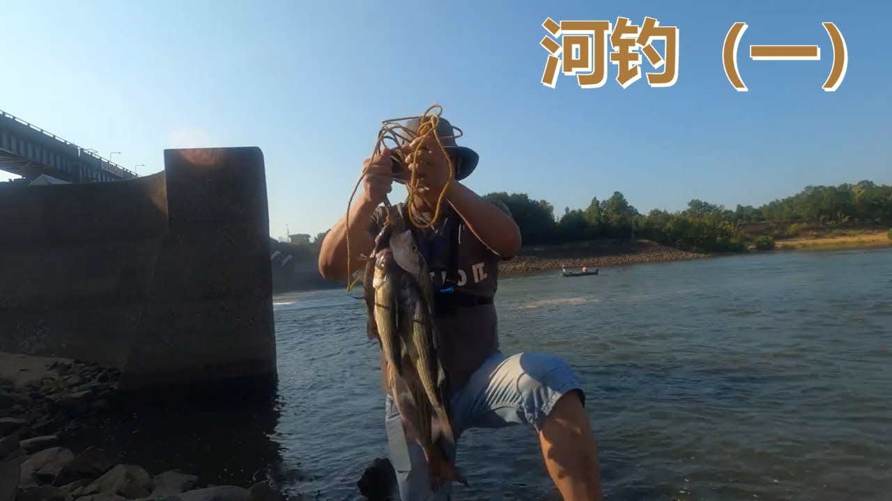 【河钓一】夏天在闸口钓鱼。咬口不断。Fishing bass at the spillway of a dam in the summer. The bites are incredible.