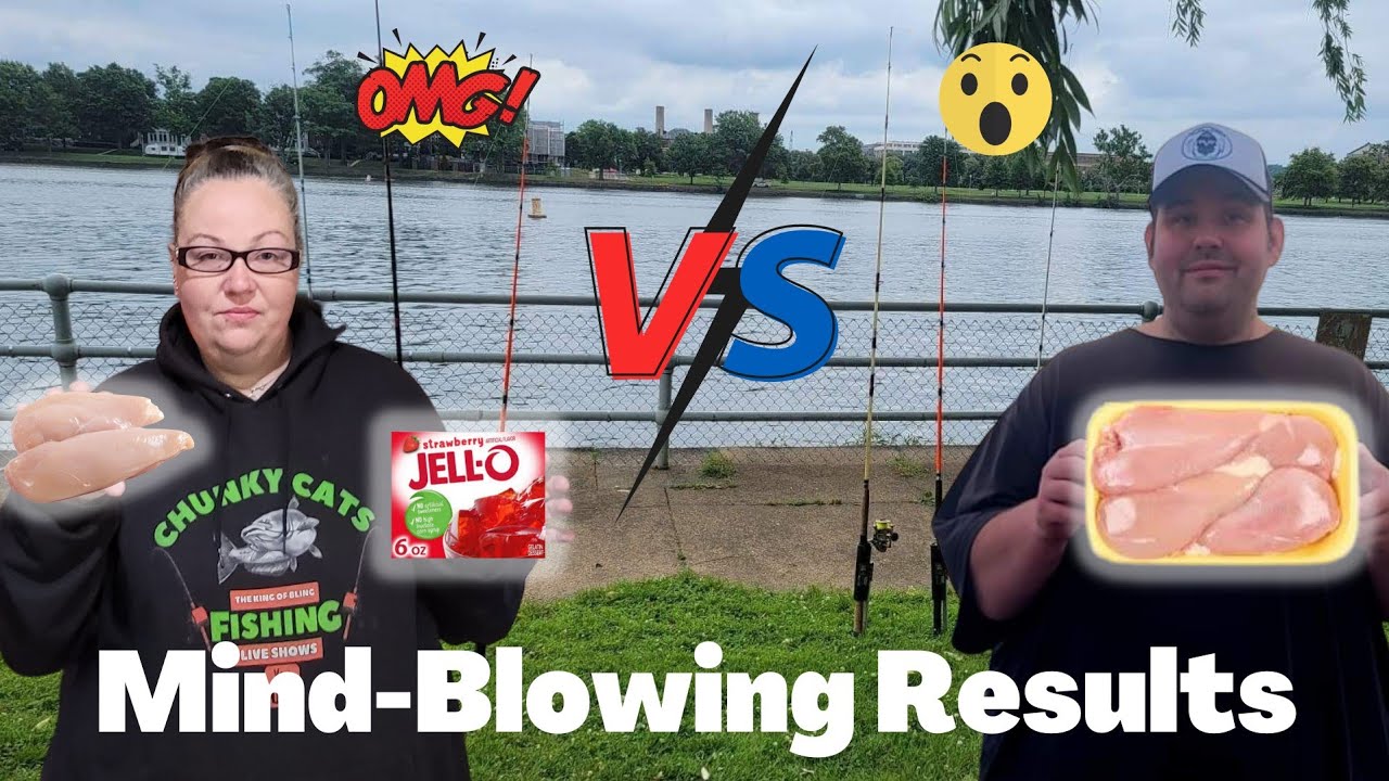 Jello chicken catfish bait Is it overrated? (Crazy Results)