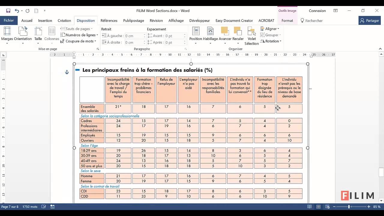 Word - 4 Expert - Cours Introduction aux sections