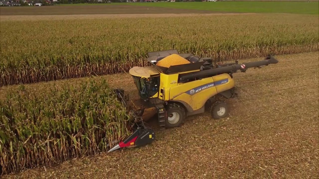 Sklizeň CCM kukuřice 2022 | New Holland CR 10.90 + Dominoni | Tatra Phoenix 6x6 Euro 6 + Krampe