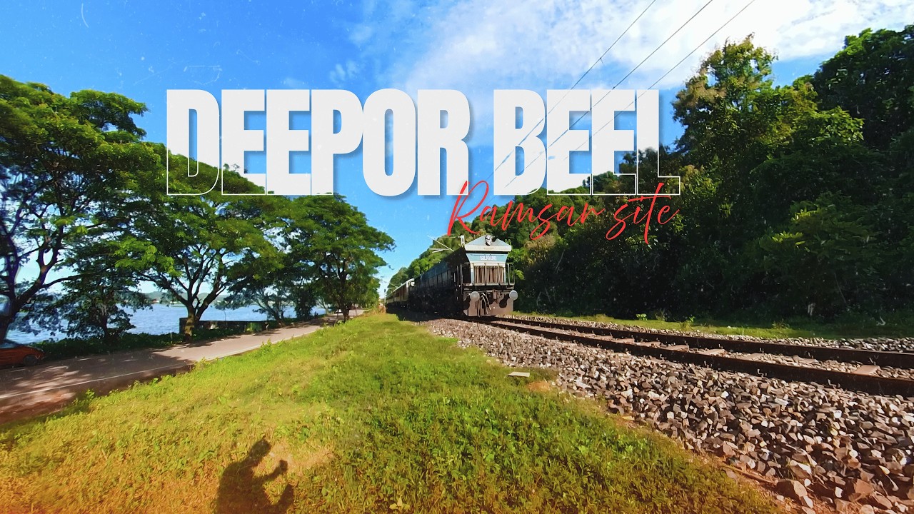 Deepor Beel (Dipor Bil) - Witnessing Nature Before It Dies
