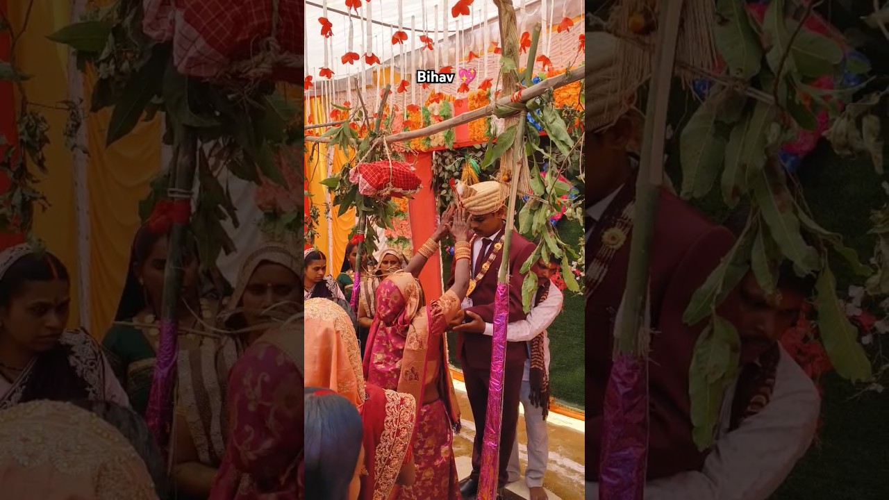 Maur saupni shorts video || cg trending bihav special shorts || #shorts #cgbihaw #cgsong #viralvideo
