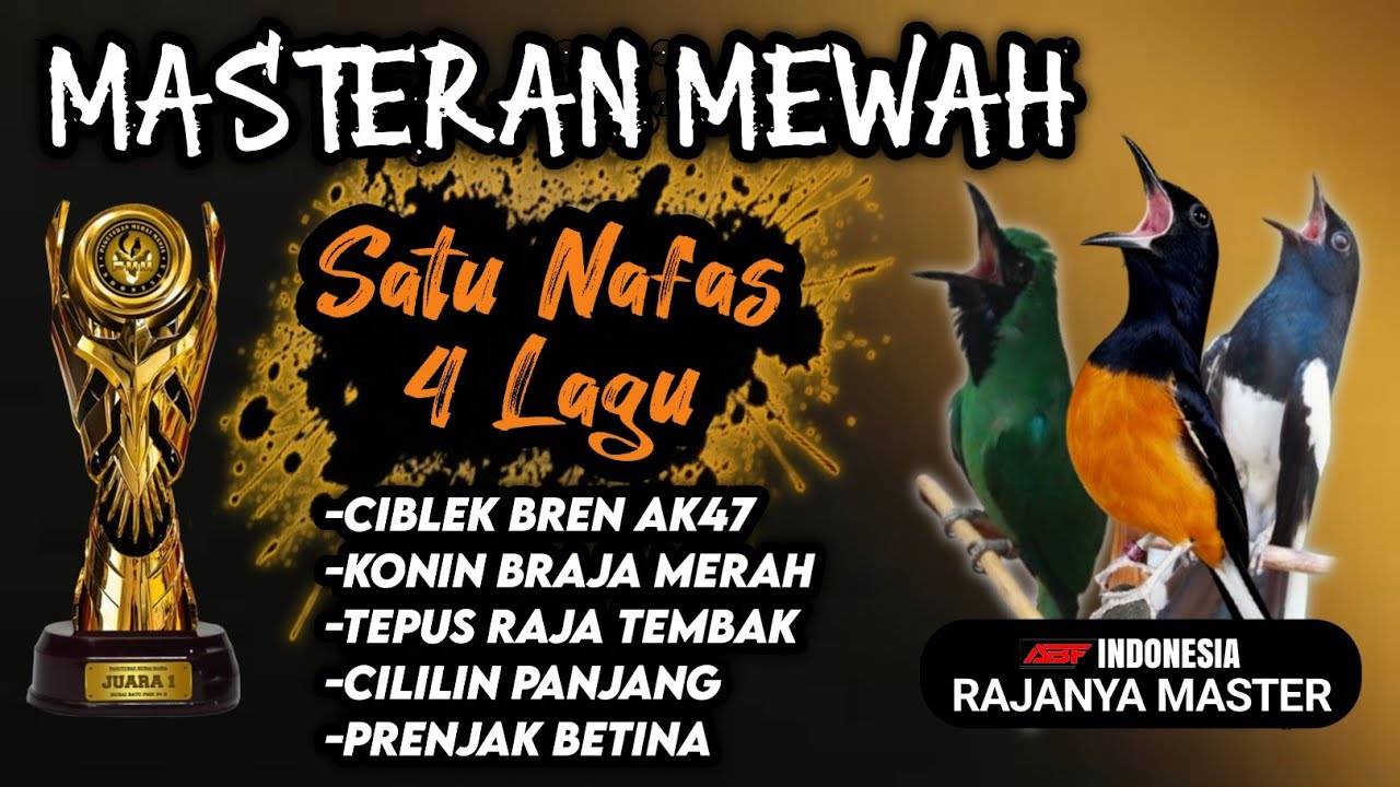 Sekali Nafas 4 lagu! MASTERAN MEWAH BURUNG MURAI BATU,KACER,CUCAK HIJAU Super jernih‼️