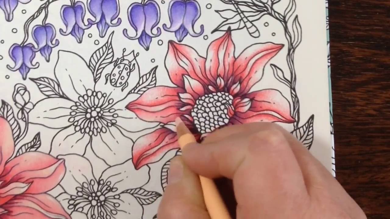 Daydreams dagdrommar - flower tutorial - part 2 - prismacolor pencils