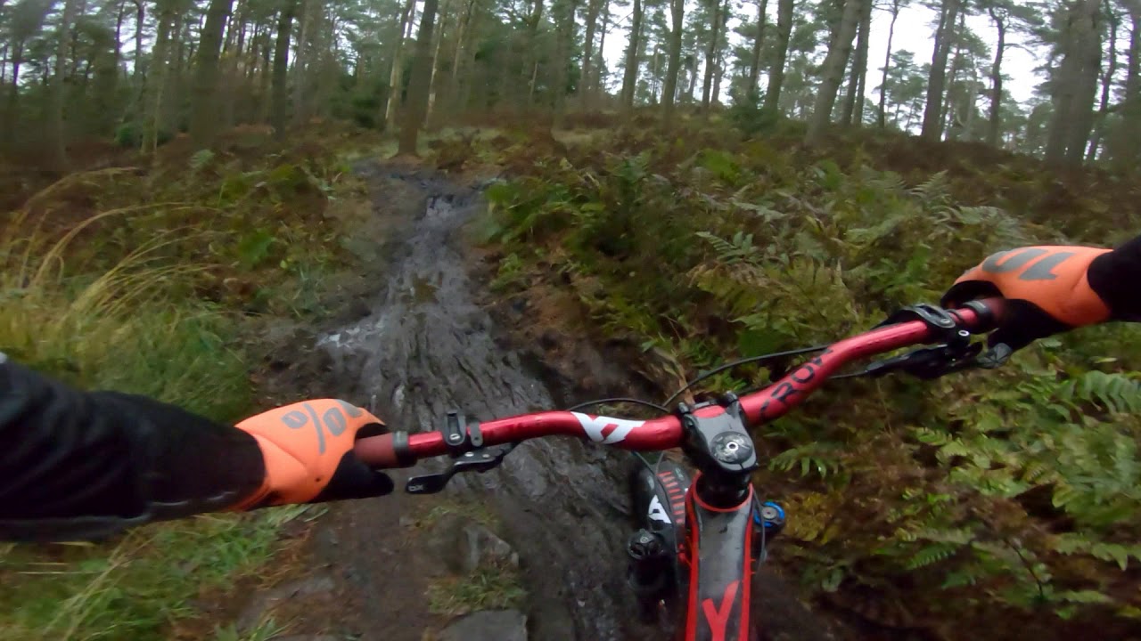 CALLENDER ESTATE MTB TRAILS POV