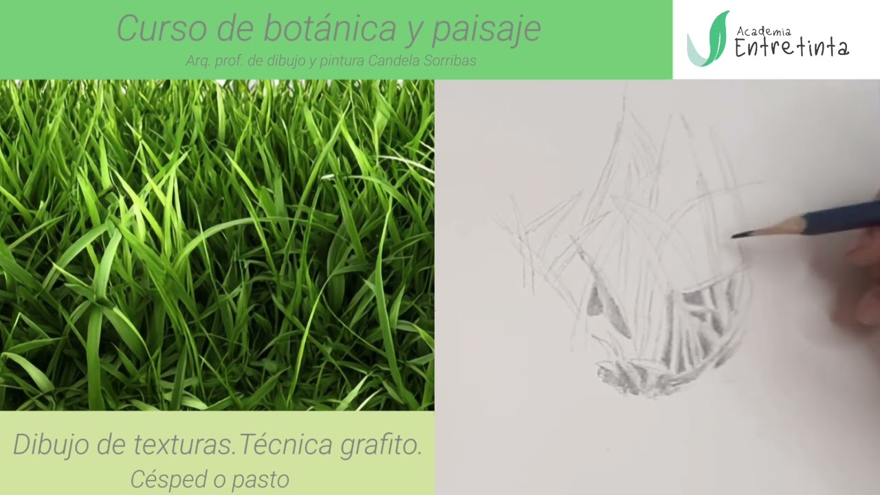 Dibujo grafito. Texturas: cesped
