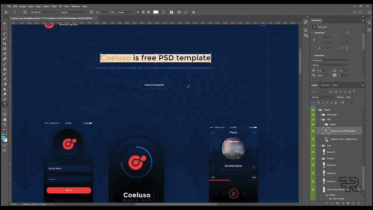 78  export images from psd - Complete WordPress Theme & Plugin Customization is a beginner's