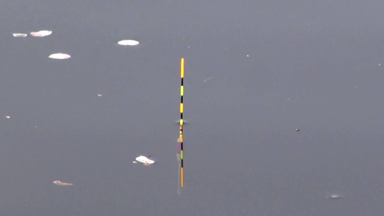 10ウキの動き〜サワリとアタリ