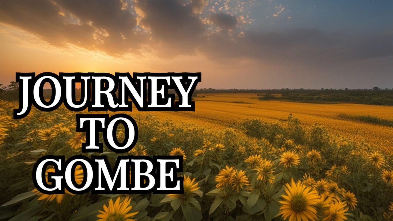 NORTHEASTERN ADVENTURE EP.15 // NorthEastern Nigeria Bauchi To Gombe