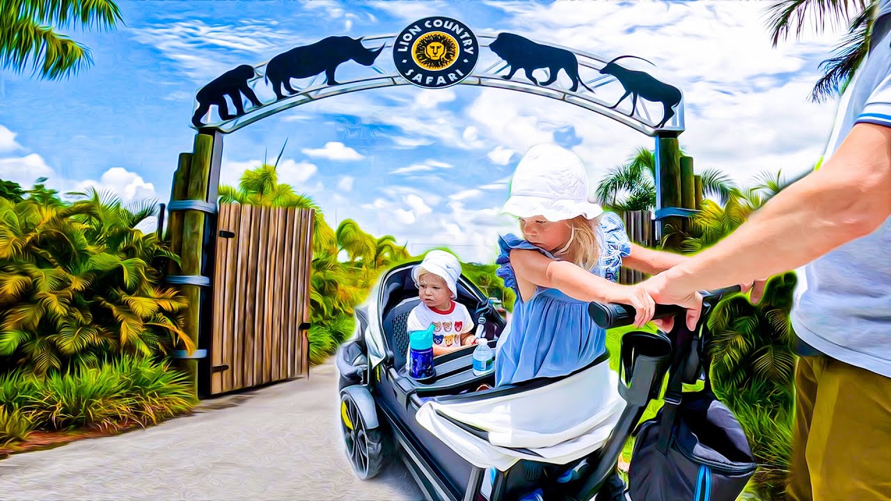 Lion safari weekend