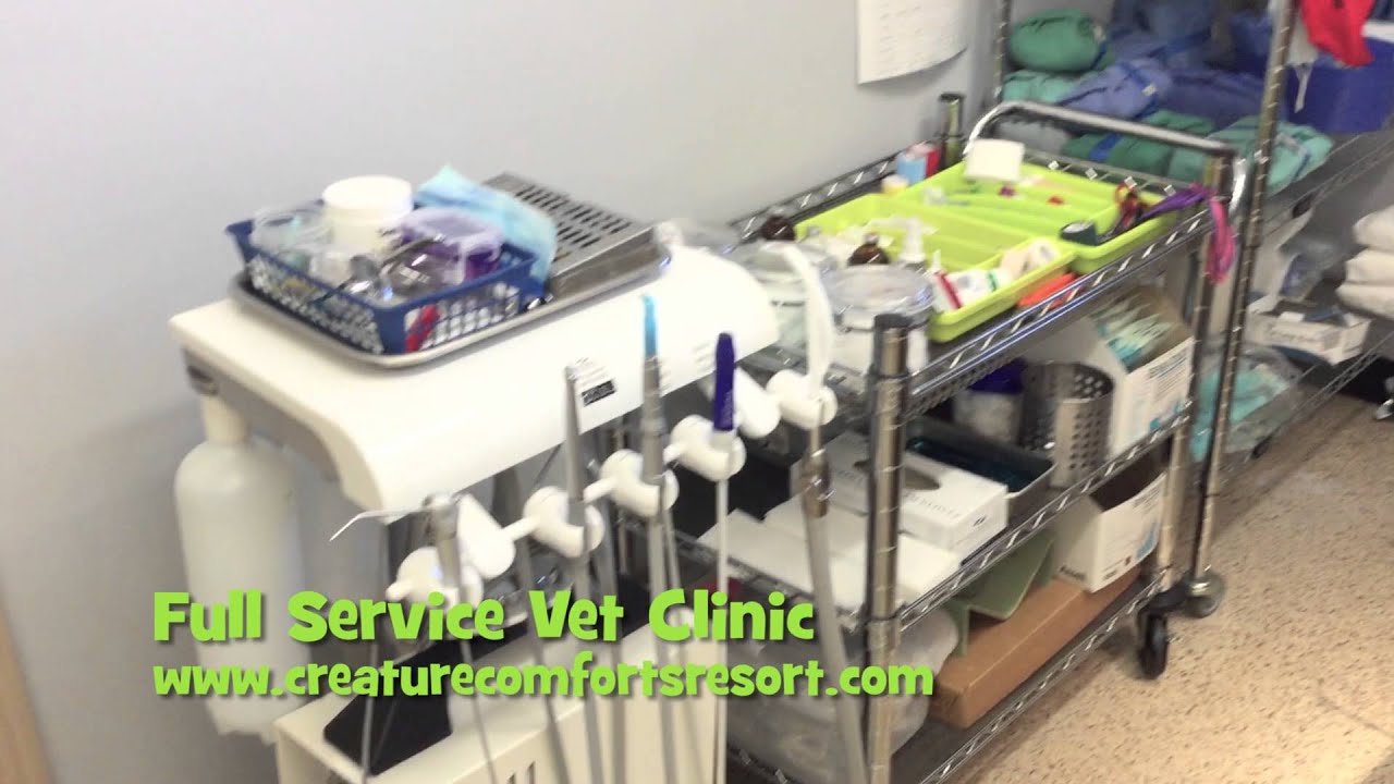 Creature Comforts Resort Vet Clinic
