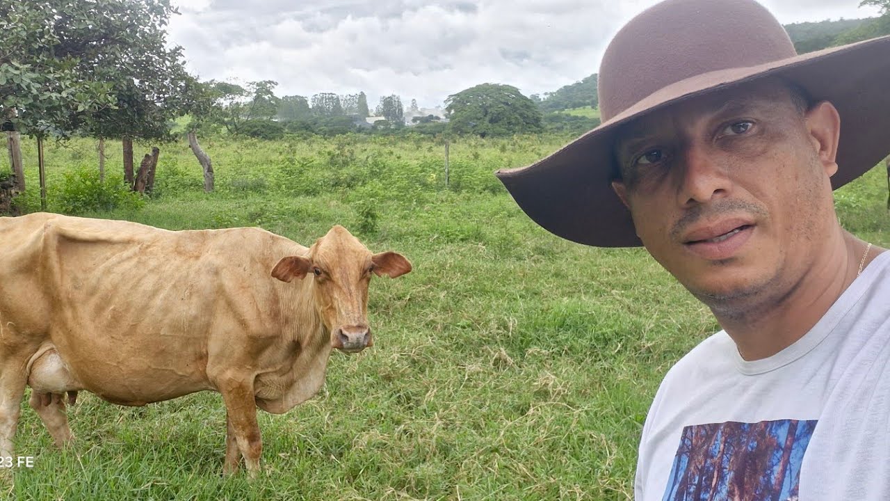 Fazenda 20 Alqueires terra de cultura R$ 1.500.000 região Sobradinho DF/ Go 50 km da capital
