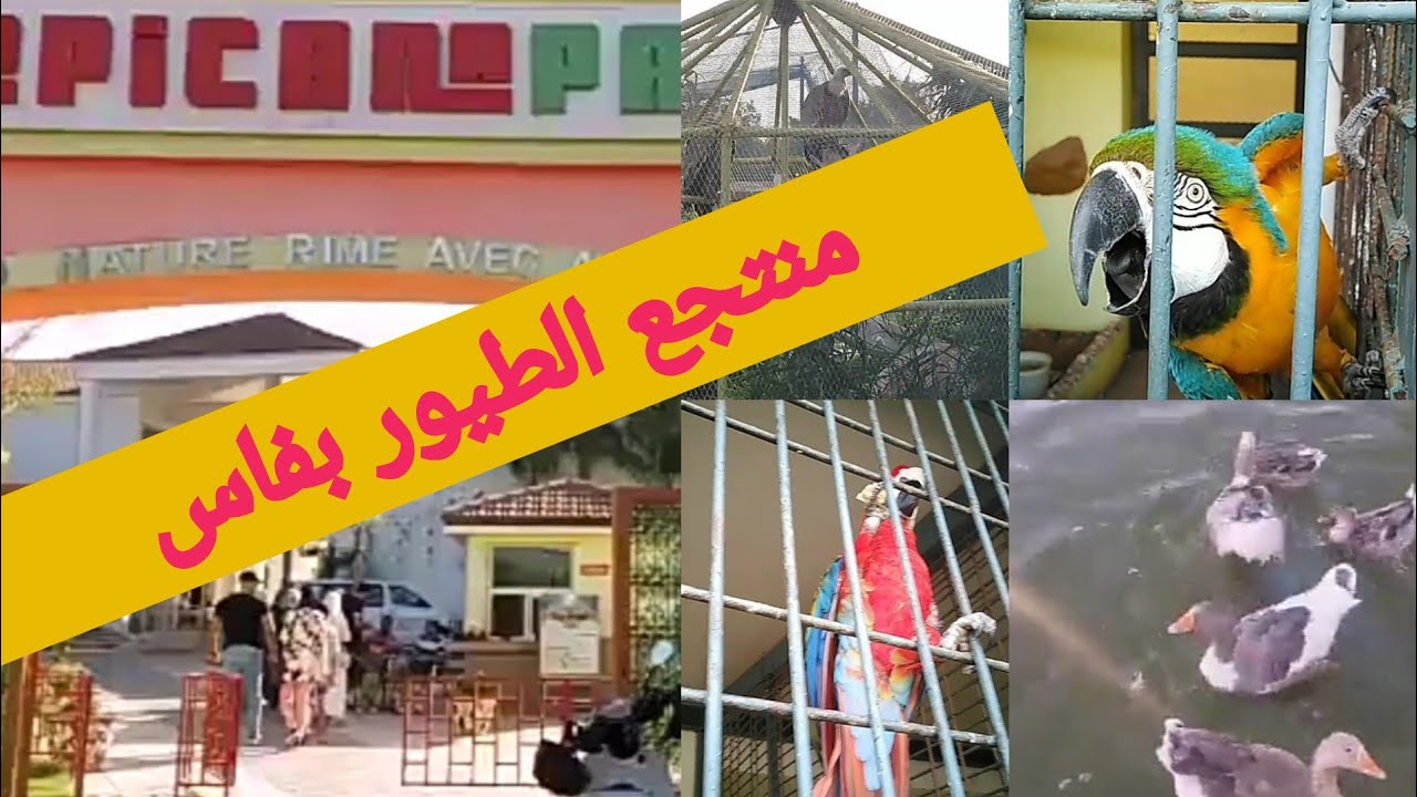 منتجع الطيور بفاس/ tropicana parc fes/ جولة ممتعة و مكان يستحق الزيارة 😍😍