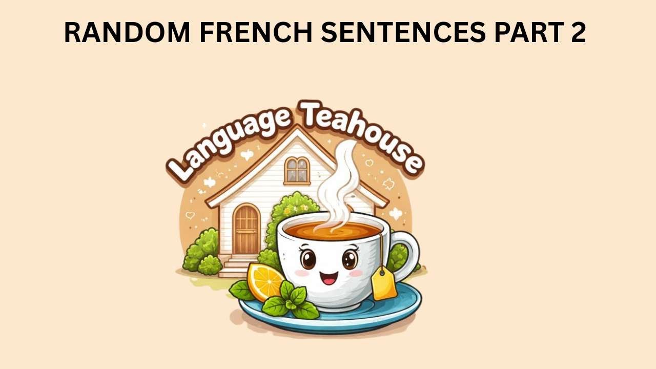 Random French Sentences W/English Translations