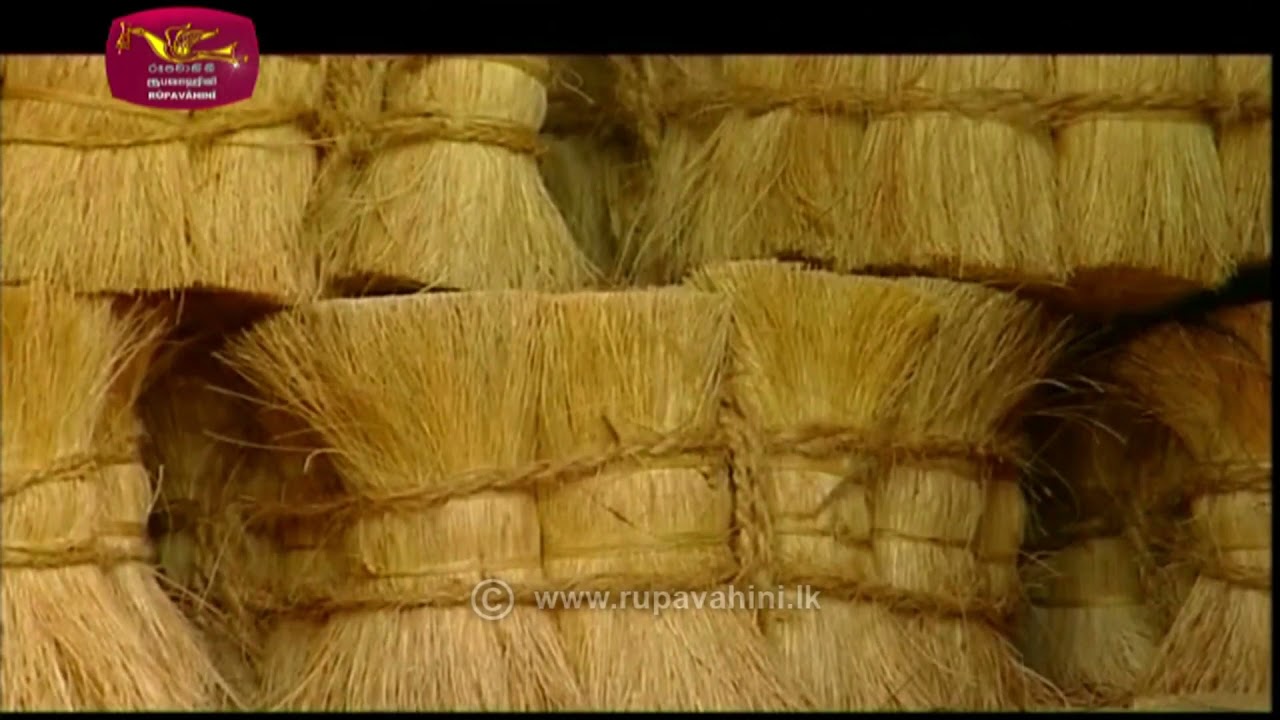 Dhaara | 2021-10-10 | කෙන්දක් මවන කන්දක් | Rupavahini documentary