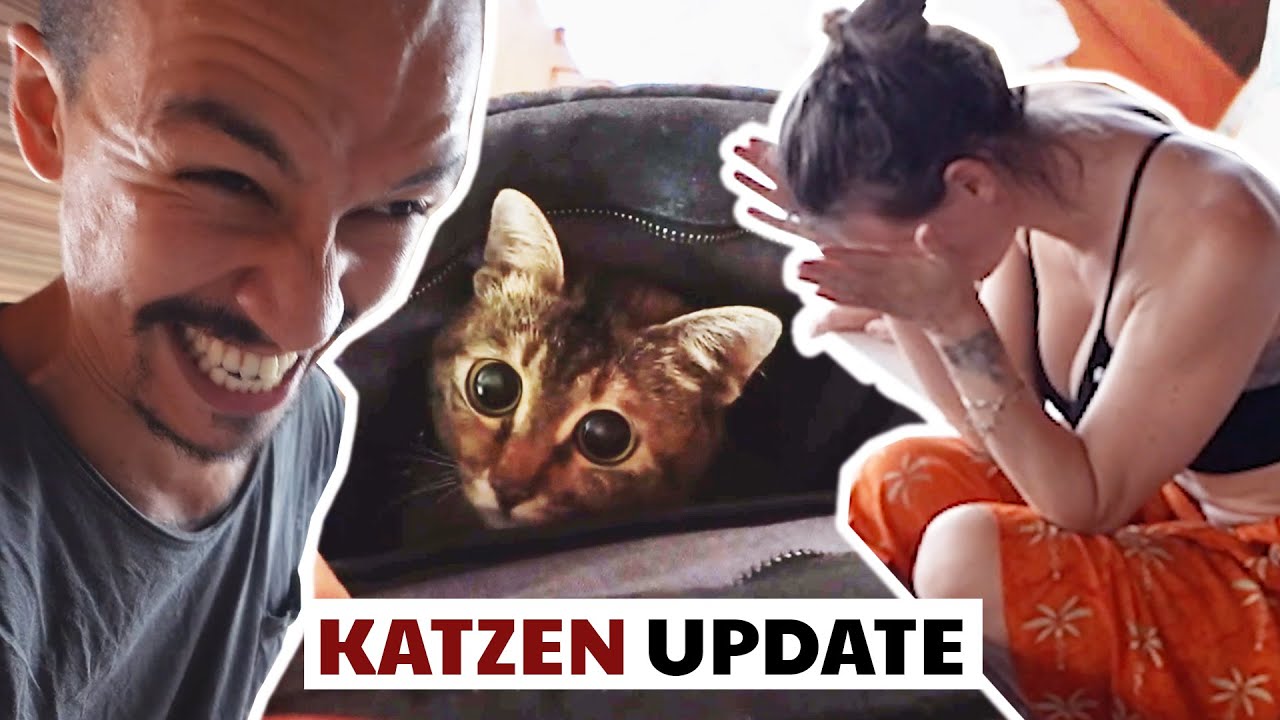 SIE IST SCHWANGER...?! | VLOG #138