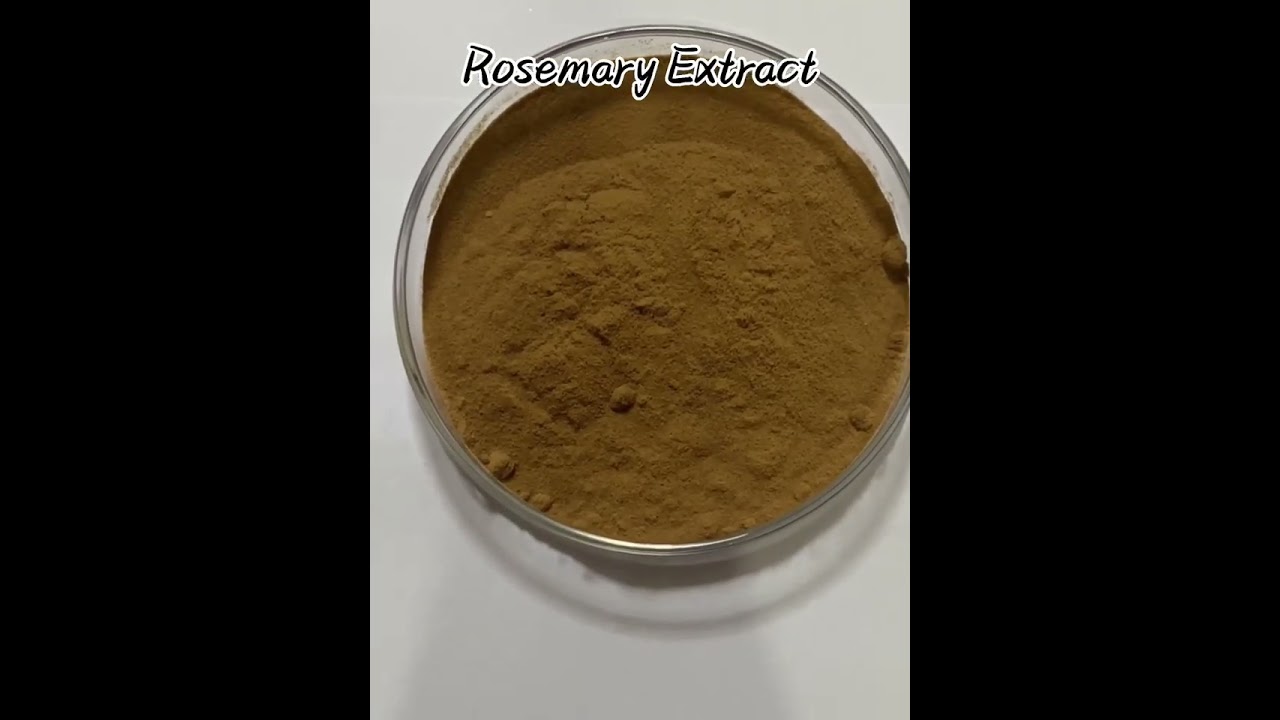 Comext biotech China professional supplier rosemary extract 