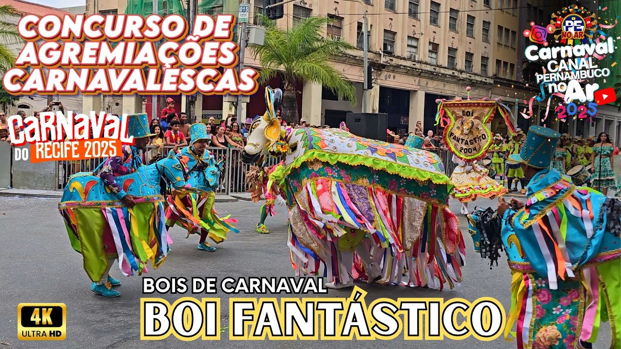 [CARNAVAL 2025] BOI FANTÁSTICO CONCURSO DE AGREMIAÇÕES CARNAVALESCAS DO RECIFE 2025