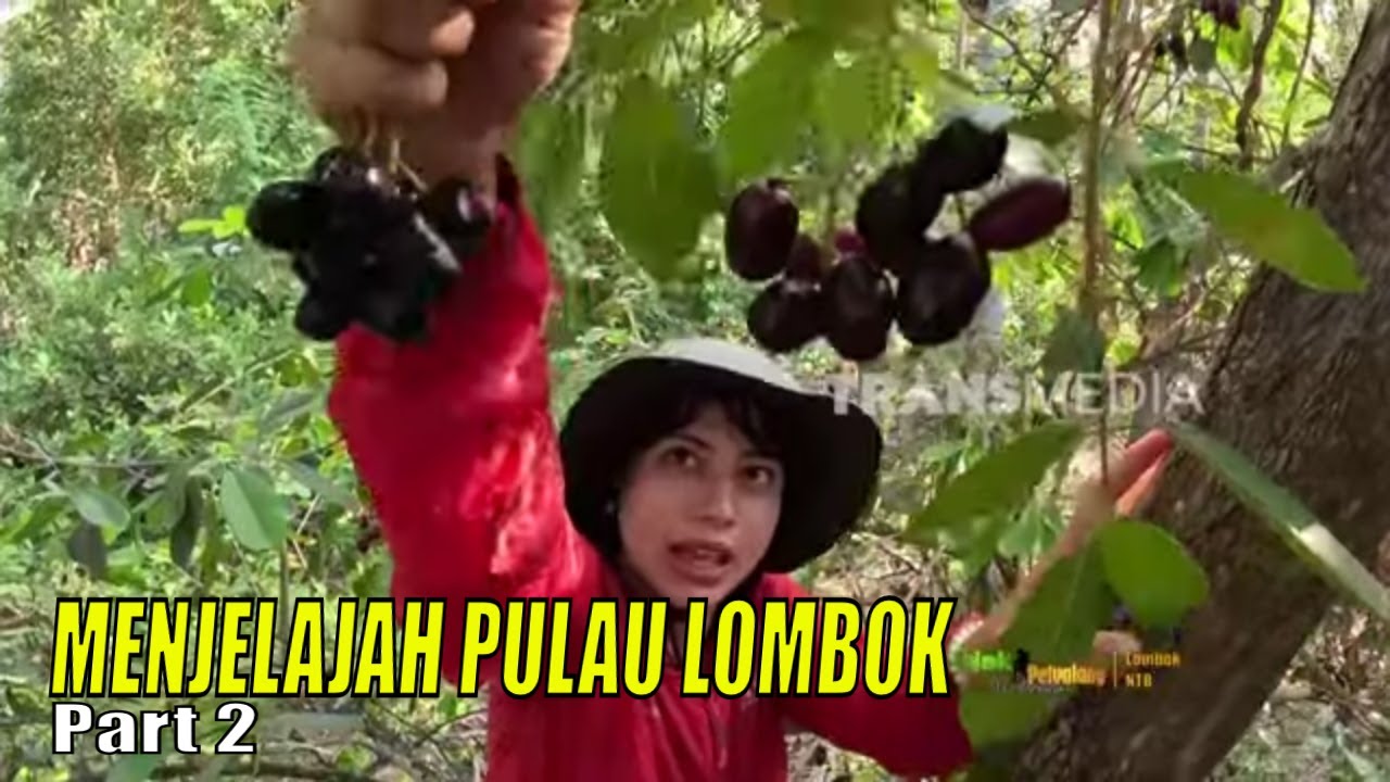 MENJELAJAH PULAU LOMBOK | JEJAK PETUALANG (02/12/23) Part 2