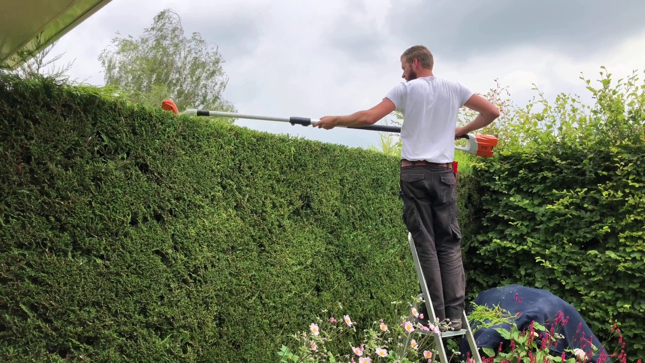 Stihl HLA 85 Top of hedge trim with extendable battery hedgetrimmer. 🔋🧡💪🏼