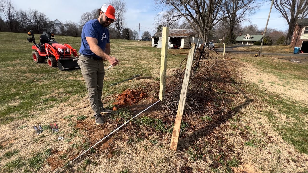 From the Ground Up! Rebuilding a Muscadine Trellis