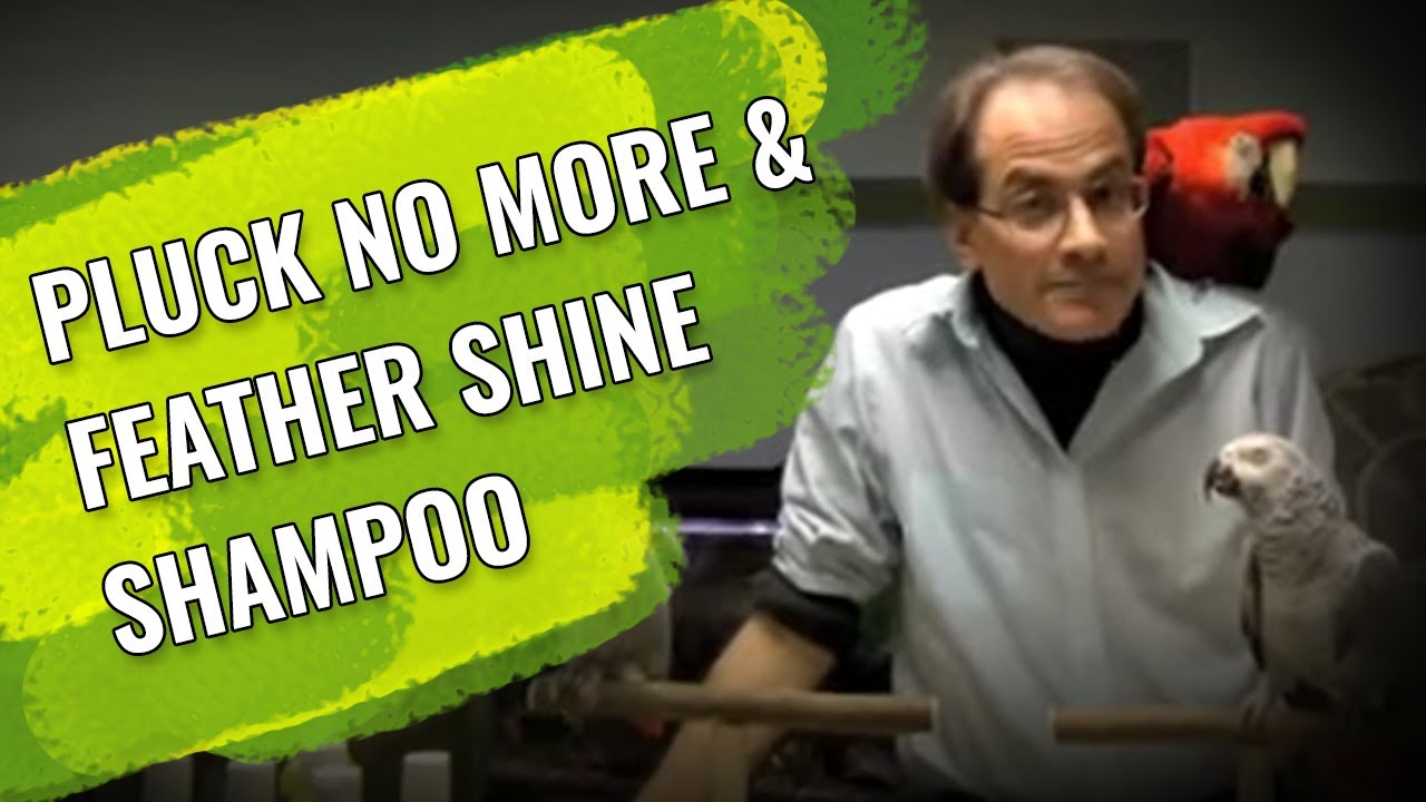 Marc Morrone Talks About Pluck No More & Feather Shine Shampoo | King's Cages