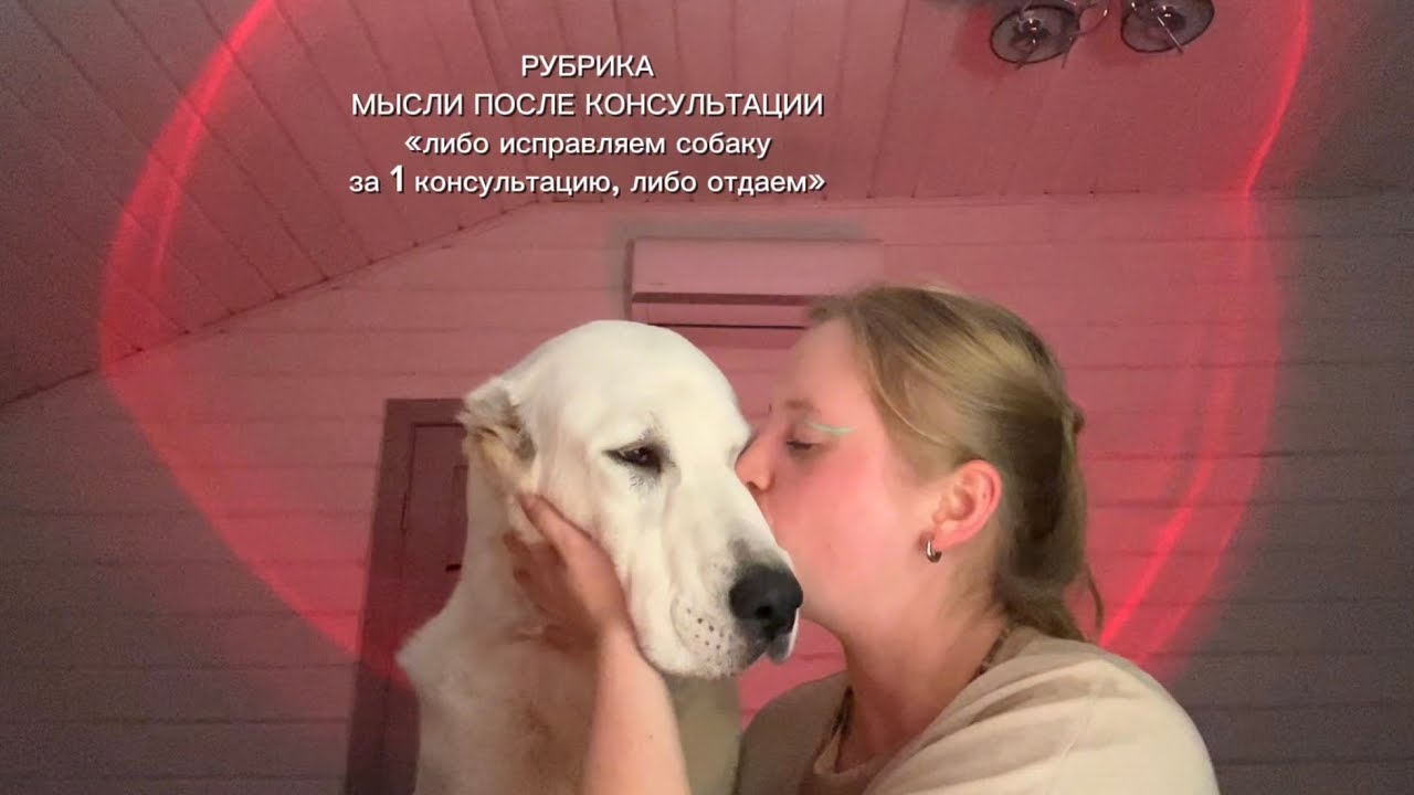 ИСПРАВИТЬ СОБАКУ ЗА ОДНУ КОНСУЛЬТАЦИЮ | МЫСЛИ КИНОЛОГА