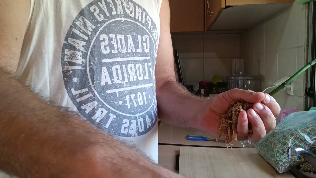 ייחור סחלבים