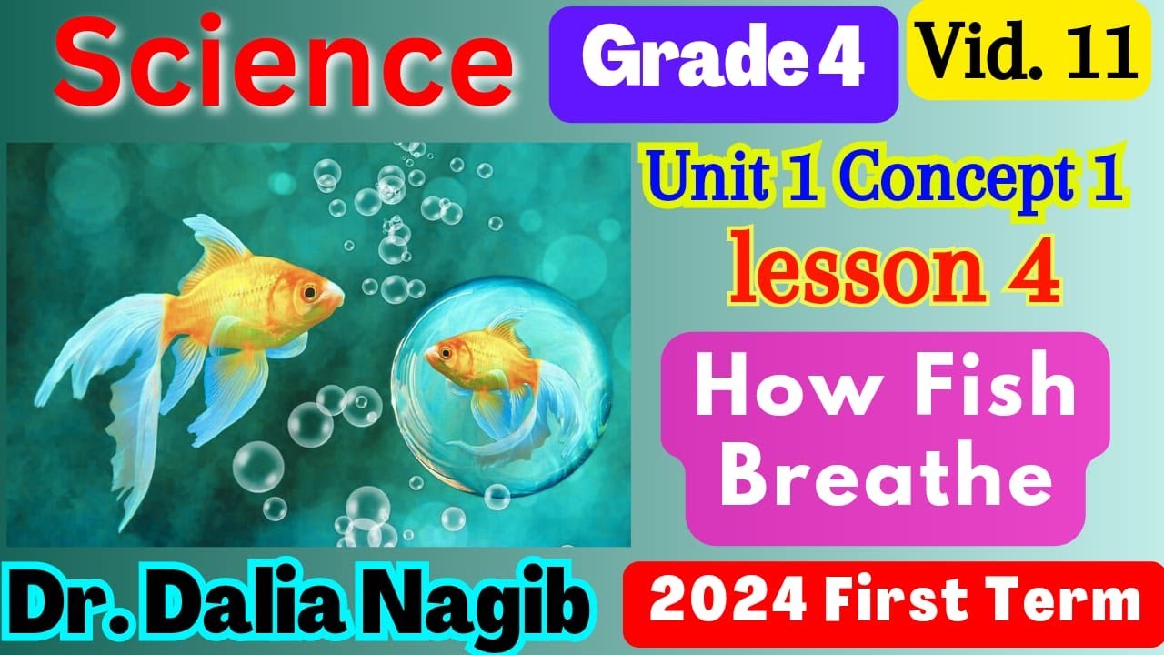 ساينس رابعه ابتدائي المنهج الجديد الترم الاول   Science Grade 4 How Fish Breathe Concept 1 Lesson 4
