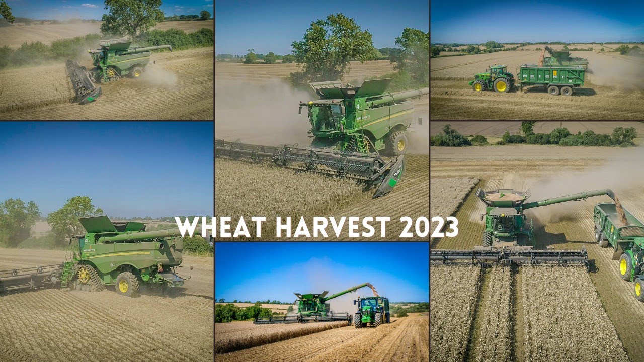 John Derre S790 & macdon FD140 flexdraper combining wheat for Wrights Agriculture