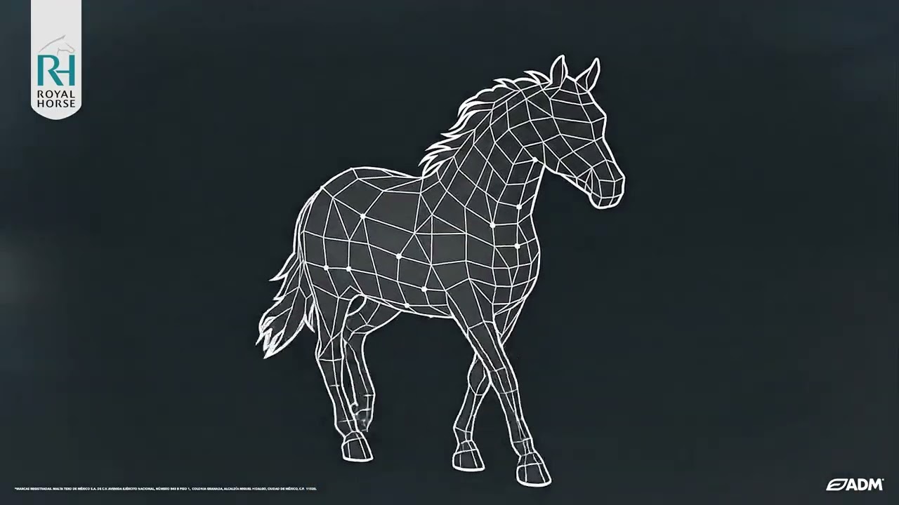 ROYAL HORSE® 2026 ✨🐎