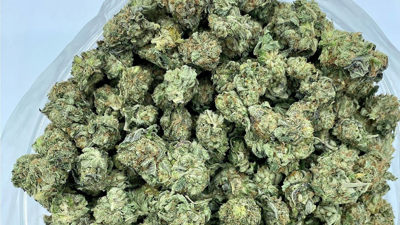 S12 Episode 10 Pink Tuna Strain Review