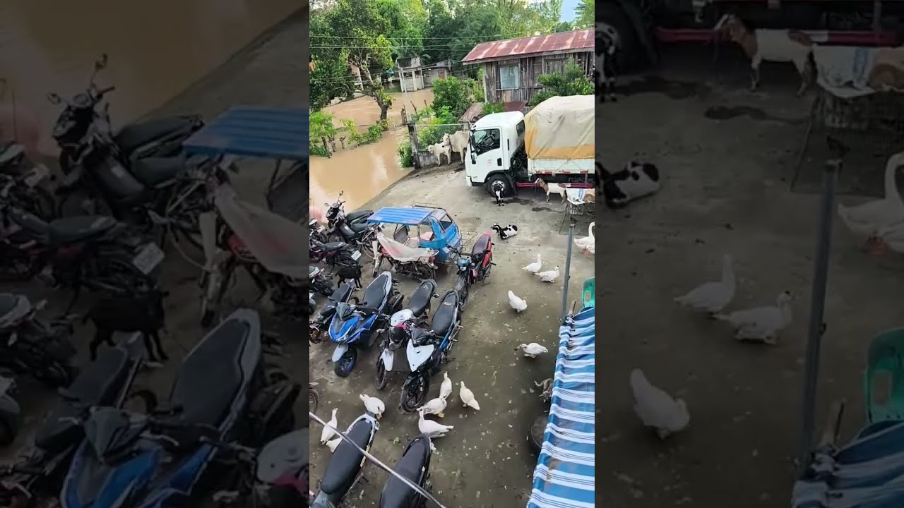 Binaha na naman tayo-Nov 2025