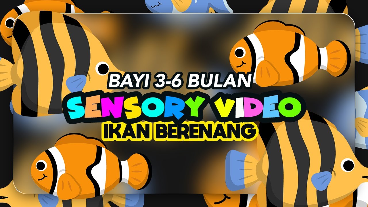 Tontonan Bayi 0 - 6 Bulan | Ikan Berenang Lucu Dan Menggemaskan