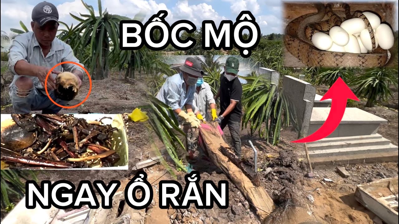 Cận Cảnh Bốc 2 Ngôi Mộ 30 Năm Ở Gò Công - Thanh Minh Bốc Mộ - Hốt Cốt - Lấy Cốt