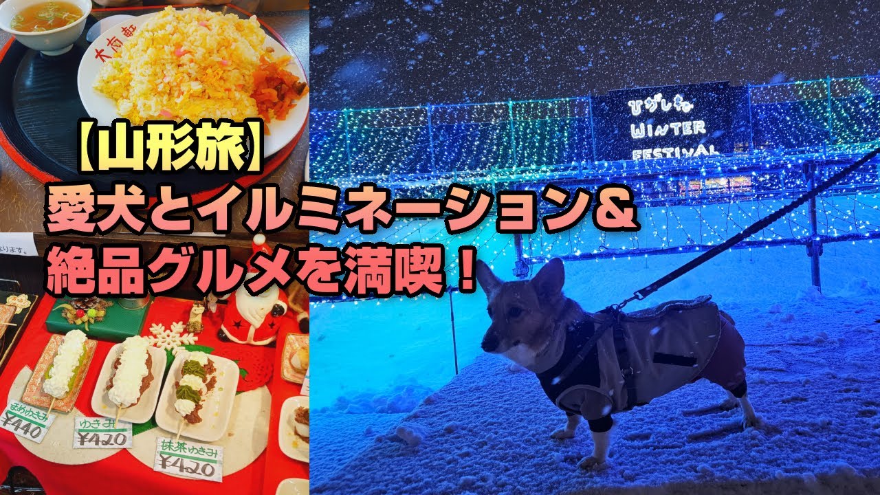 【イルミネーション散歩】冬限定、愛犬と行くイルミネーションとデカ盛りグルメ旅【山形旅】【ひがしねウィンターフェスティバル】