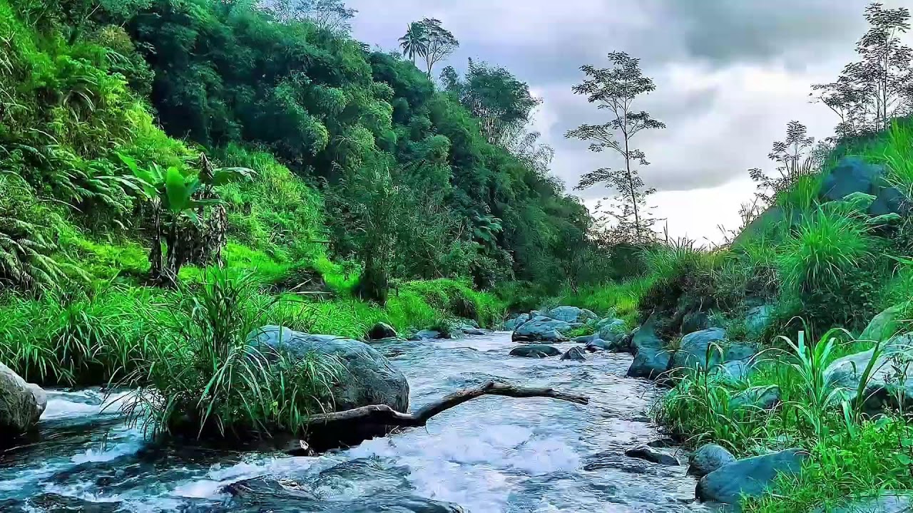 {River Flow Sounds for Stress Relief Sleep Meditation Yoga Bukit Menoreh}