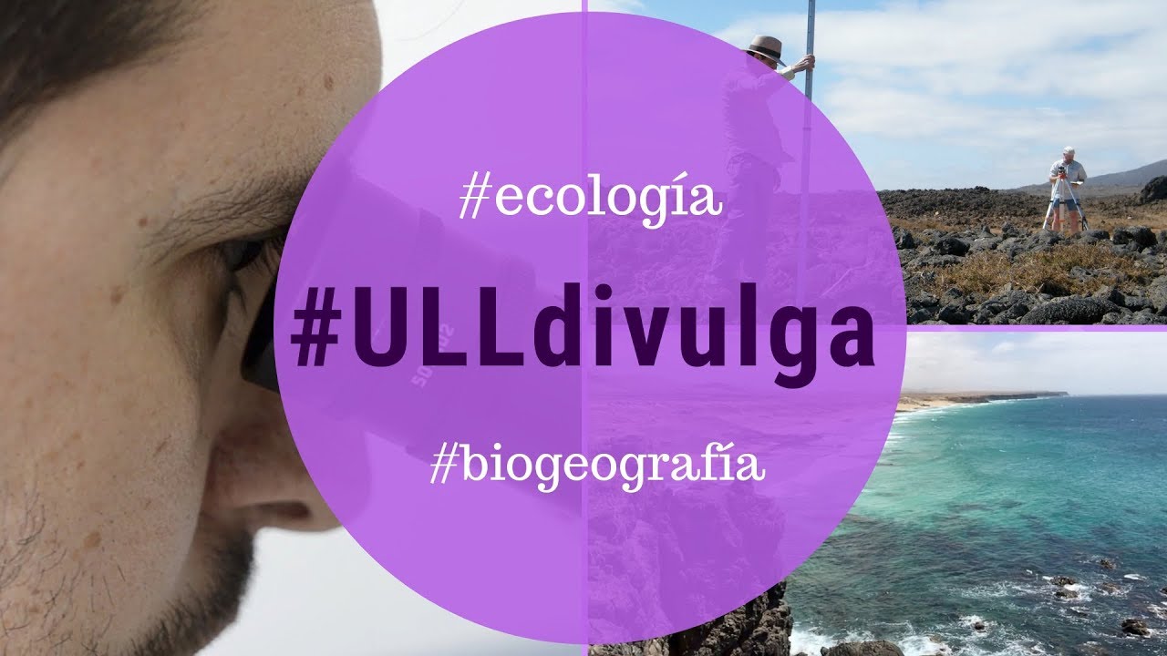 &iquest;C&oacute;mo era la vegetaci&oacute;n de las Islas Canarias en el pasado?