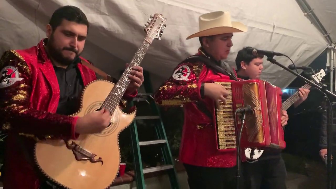 Los Caimanes de Sinaloa _ Sabio Salomon feat. Badimount